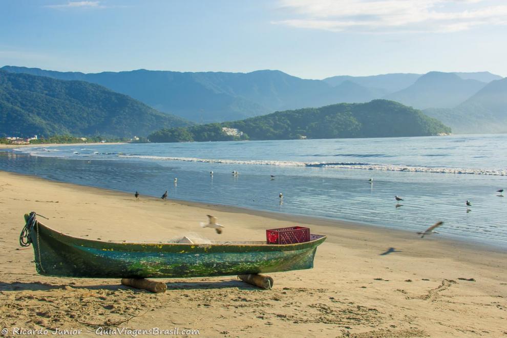 Imagem de pássaros na beira do mar.